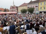 2014_07_20 Kubesfestival Sobeslav (28).jpg